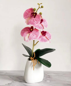 Artificial Phalaenopsis Orchid